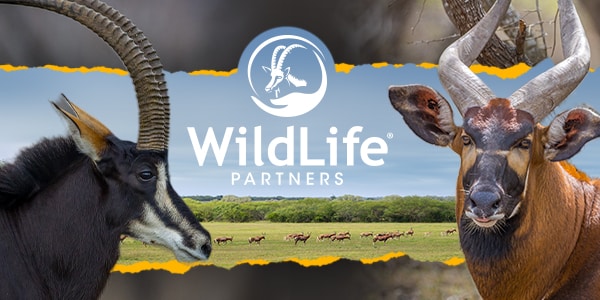 WildLife Partners