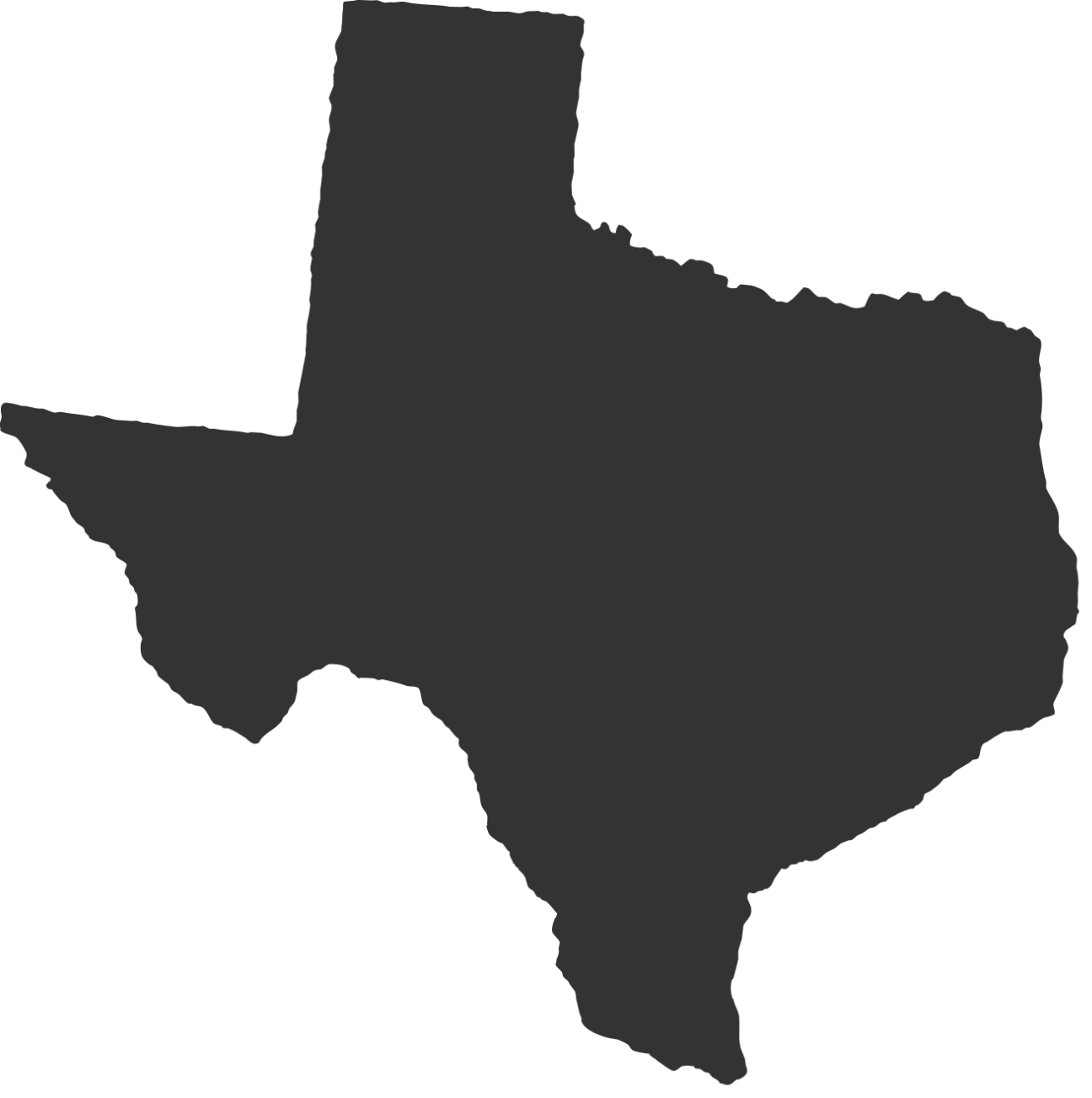 Texas-Icon
