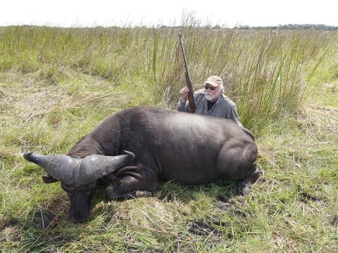Bill Hober with buffalo