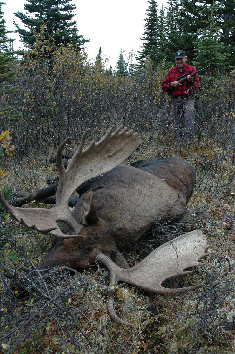 Hunter and moose