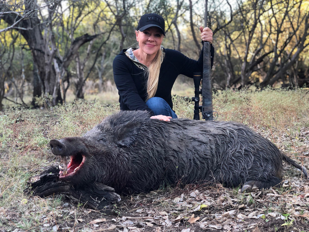 Wild Hogs Our Best Teacher Safari Club