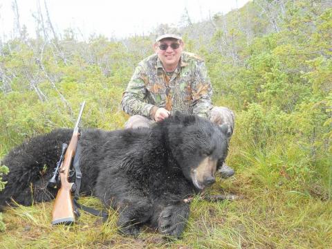 Mest with black bear