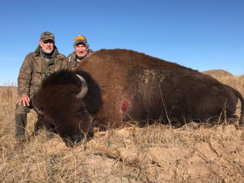 SCI President Steve Skold with bison