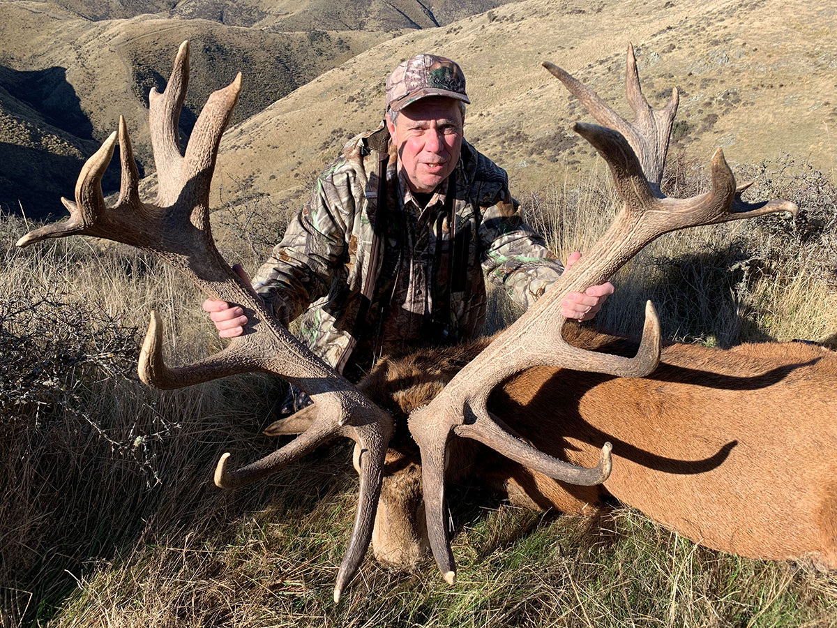M Wheeler with stag