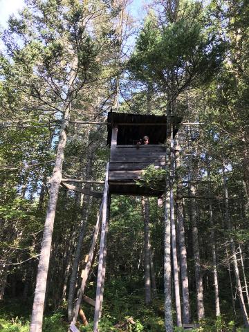 Russian tree stand