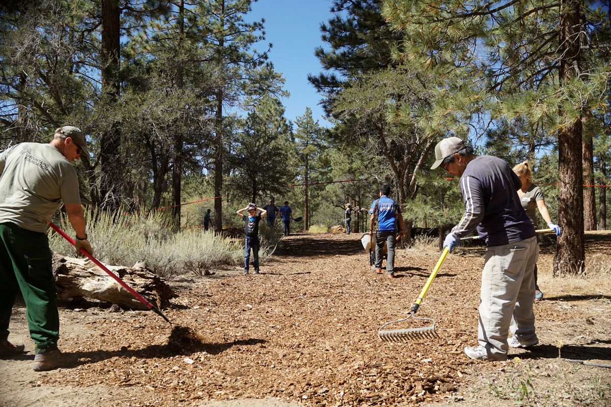 volunteers working on trail
