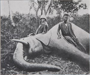 elephant trap