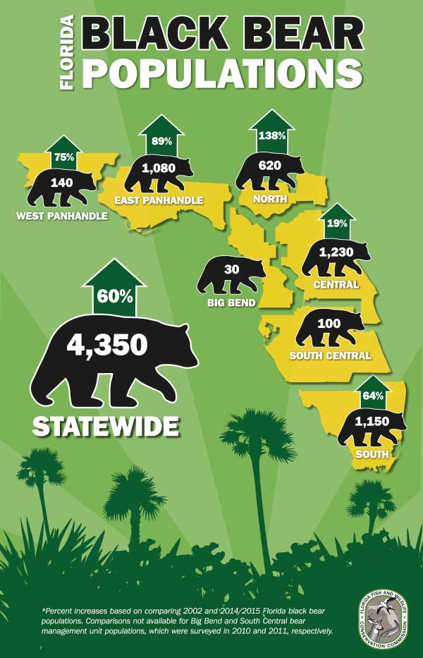 bear-population-infographic_original