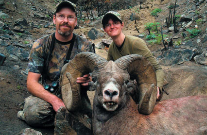 California Big Horn sheep 110512