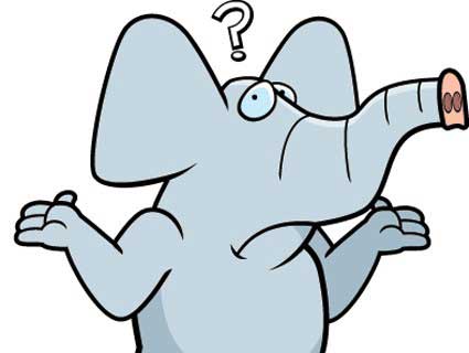 confused elephant