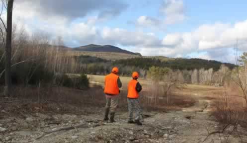 Hunting in Blaze orange
