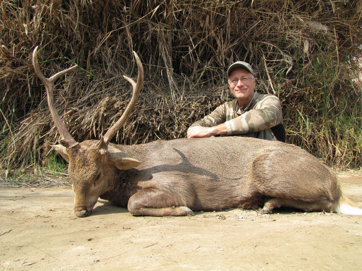 pakistan-safari-hampton-and-hog-deer-110116