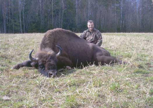 Ponzetto-with-euro-bison