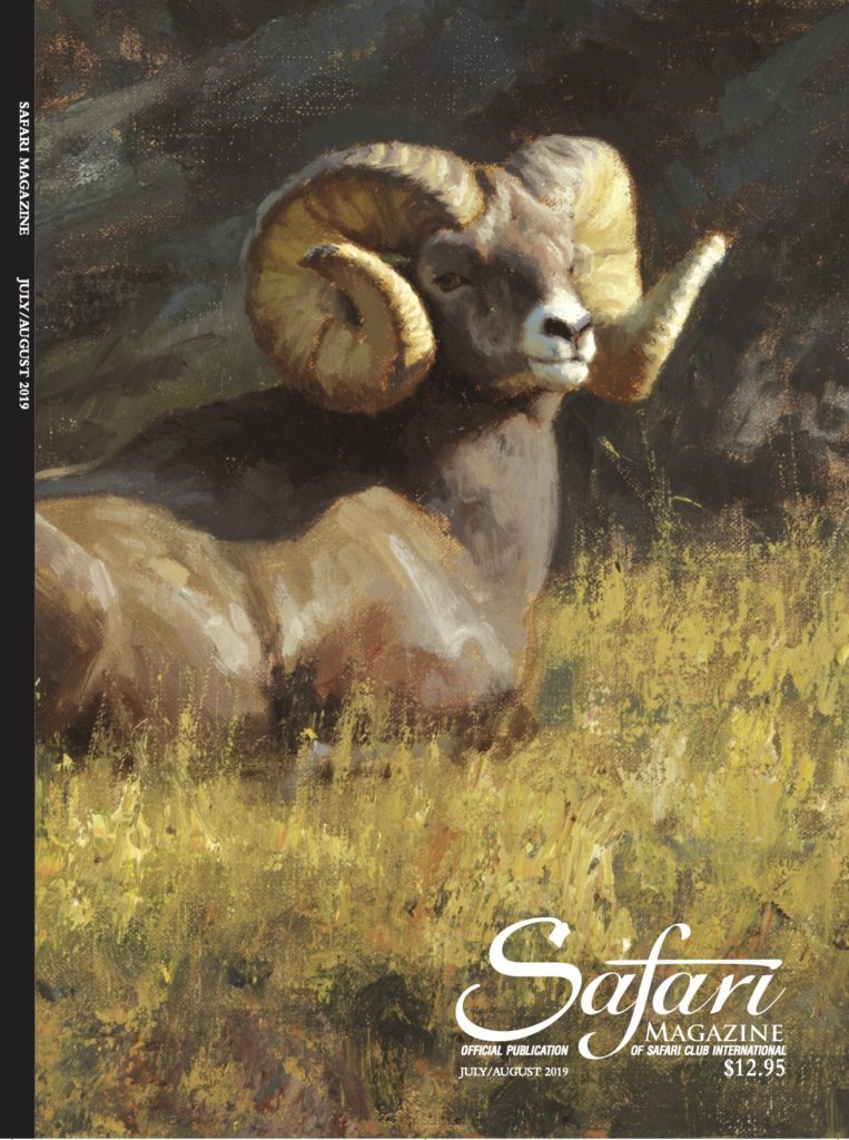 Safari Magazine cover3