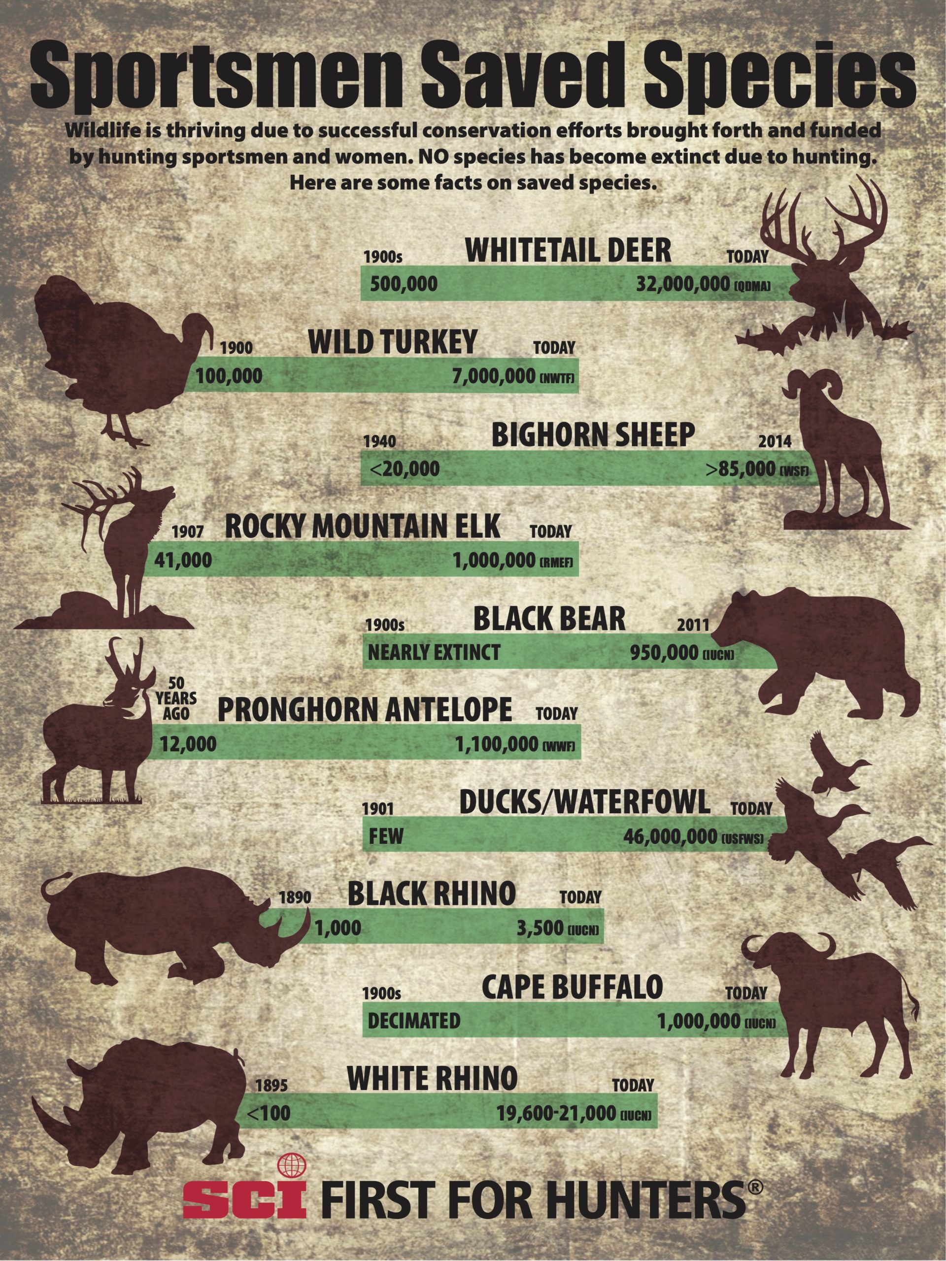 Hunt The Facts / Species Conservation - Safari Club