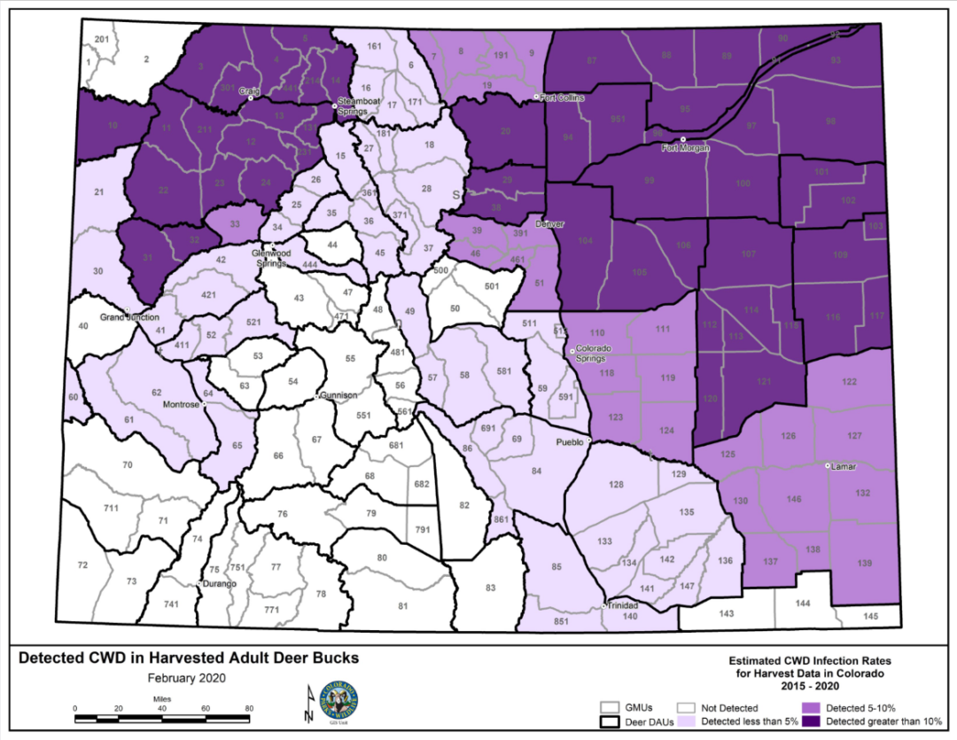 Research Shows Deer Hunters Can Help Manage Chronic Wasting Disease ...