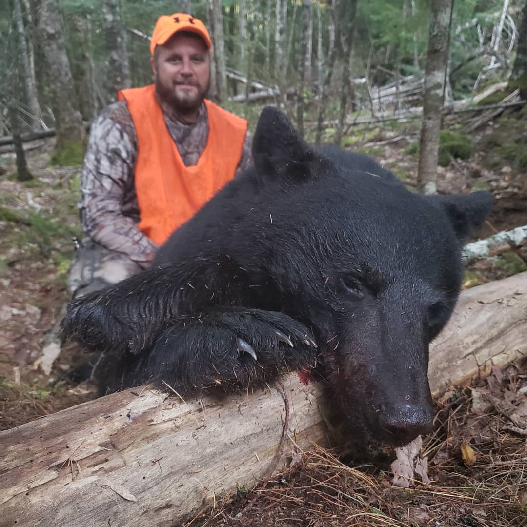Black Bear meat is the best meat in Alaska : r/alaska