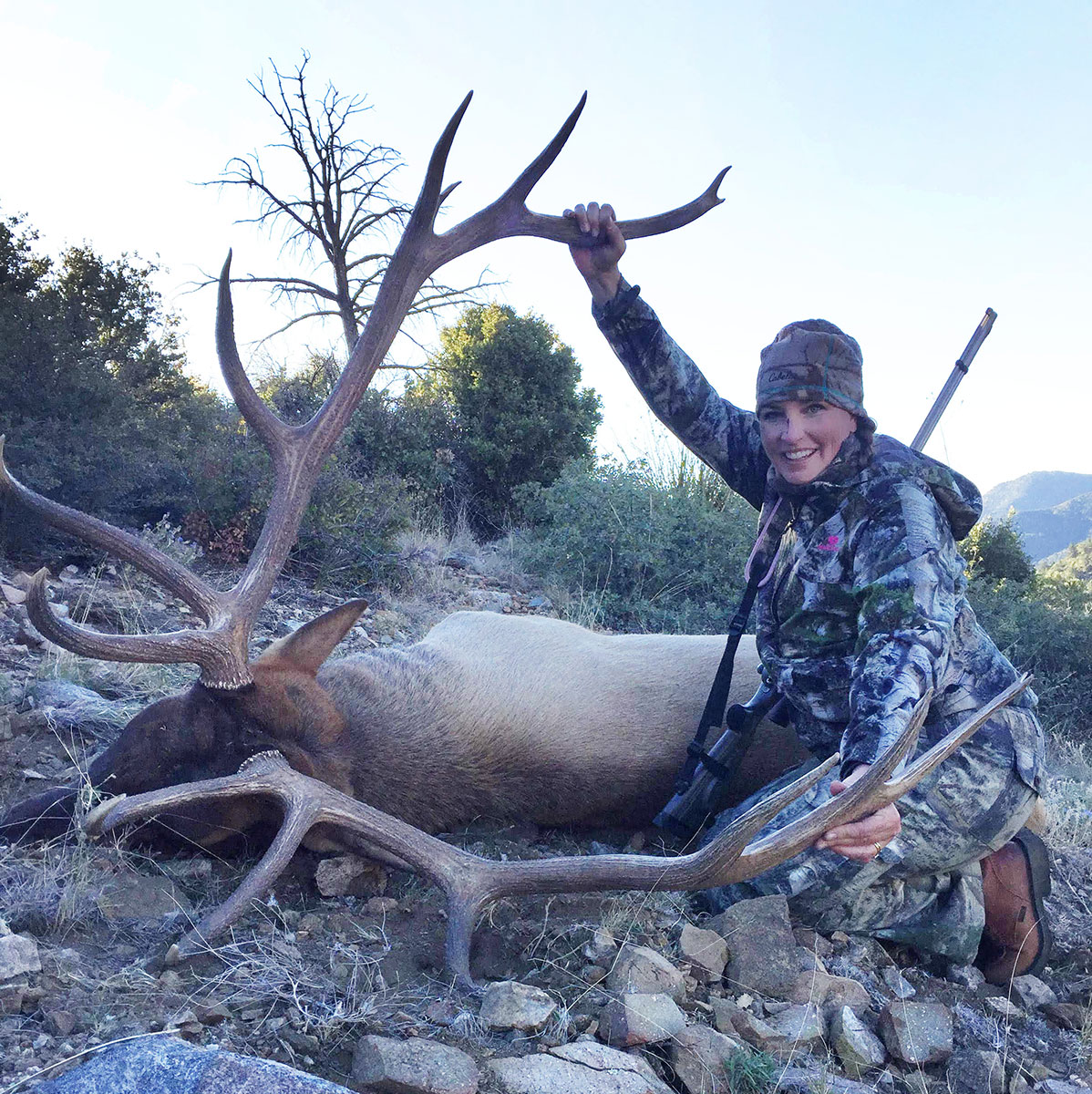 DYI Trophy Bull Elk In Arizona Safari Club