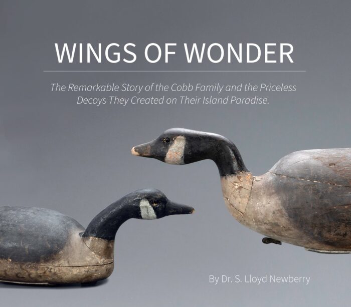 Wings of Wonder - Collectors Edition