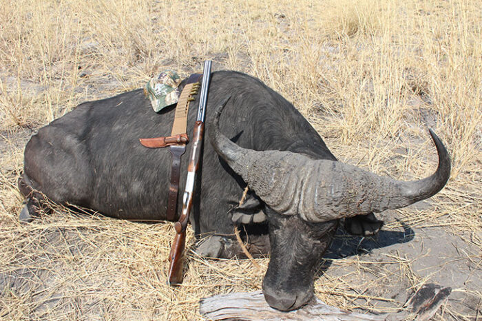 DOUBLE RIFLES OLD AND NEW - Safari Club