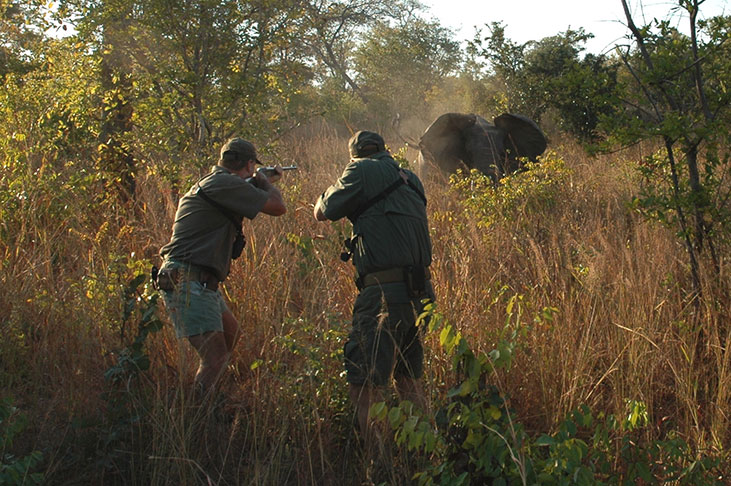 safari hunting in south africa