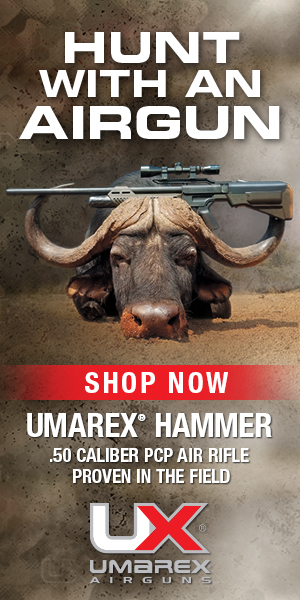 ADVERTISEMENT-SCI-Umarex-Hammer-600x300-19AUG22-CS