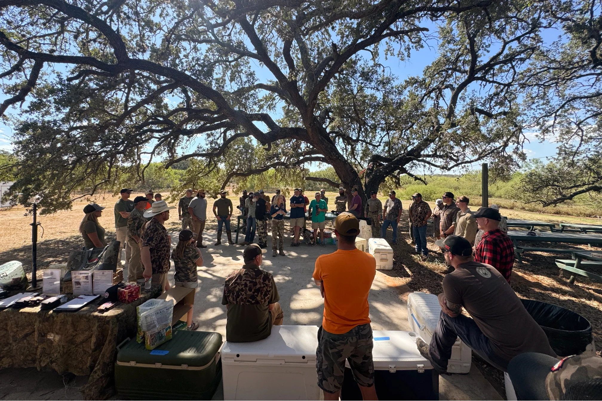 Doves, Camaraderie and Camouflage