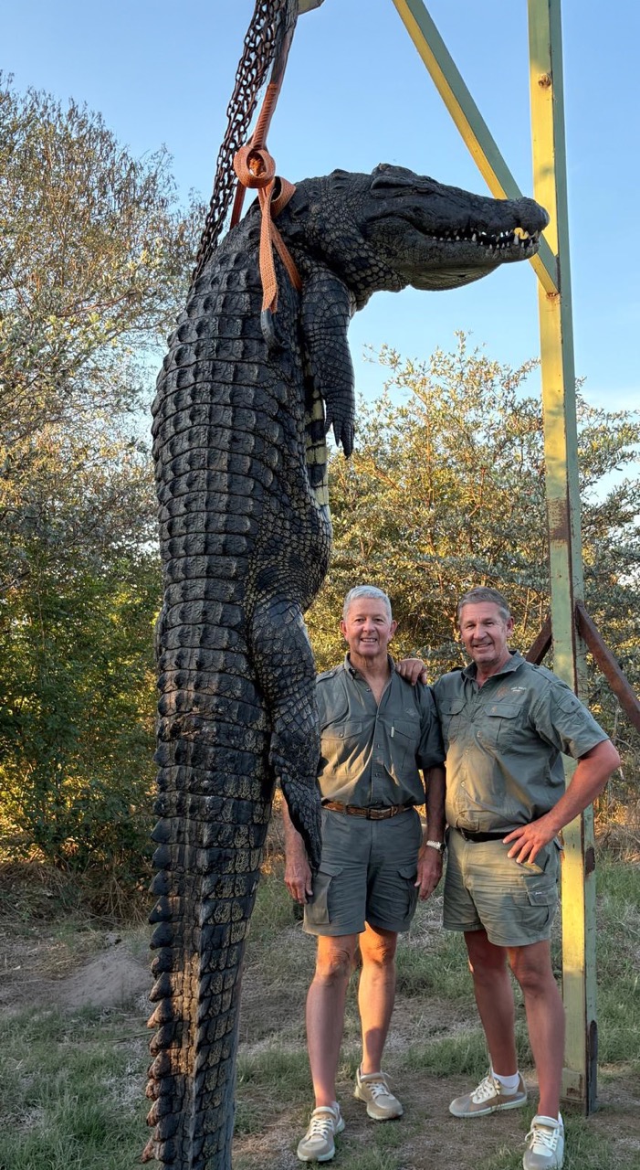 Croc Traut