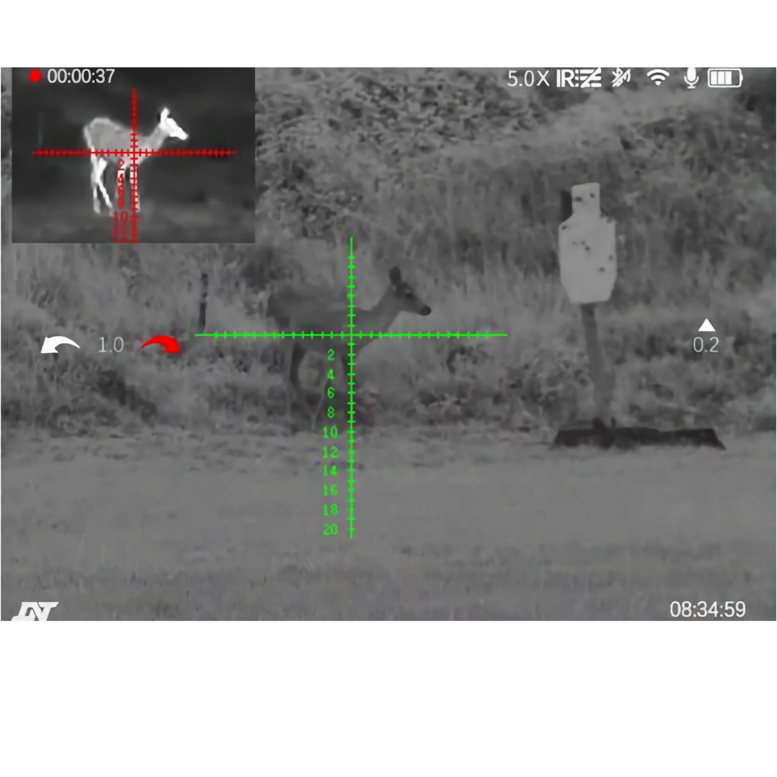 Picture in picture