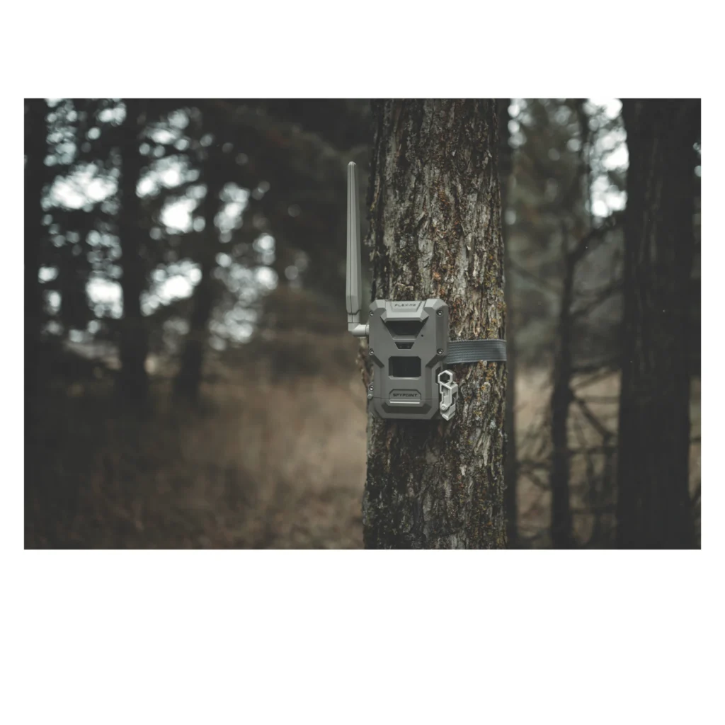 Digital Deer – Spypoint Flex M-2