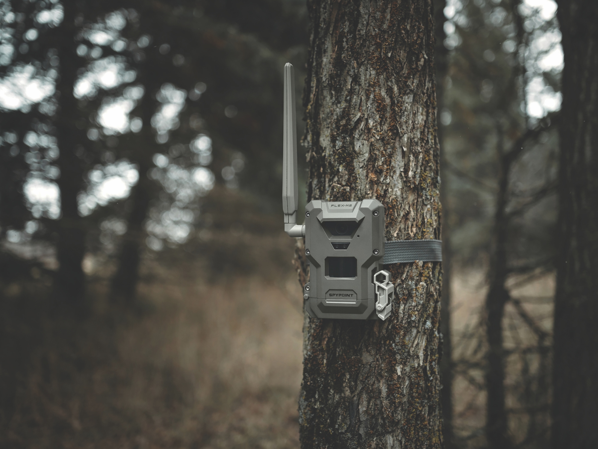 Digital Deer - Spypoint Flex M-2
